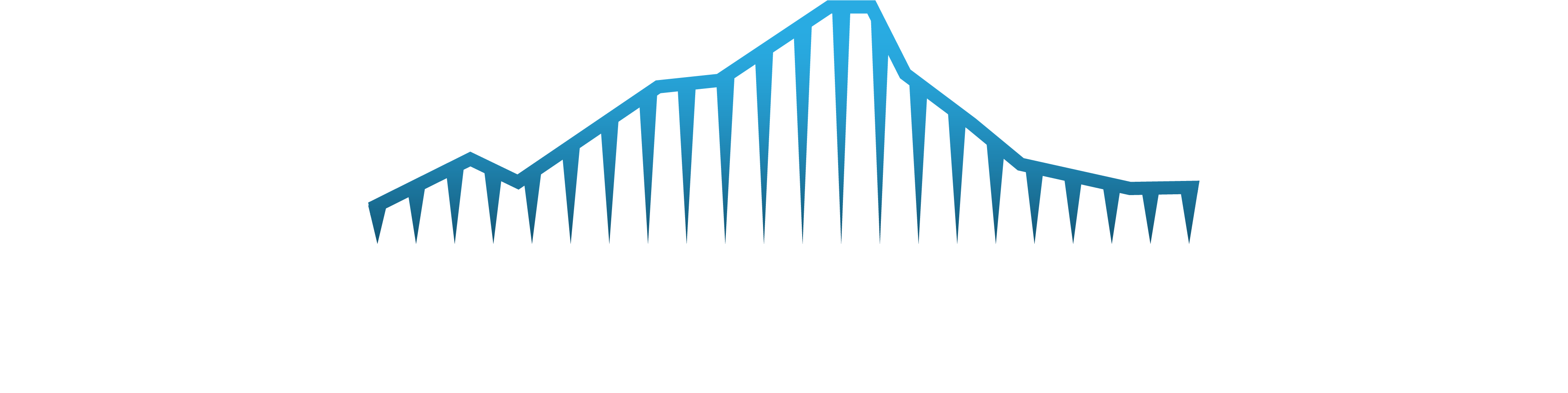 Digital_Agency_in Murwillumbah